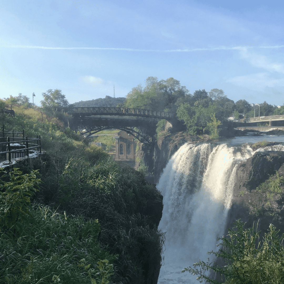 Paramus thumbnail
