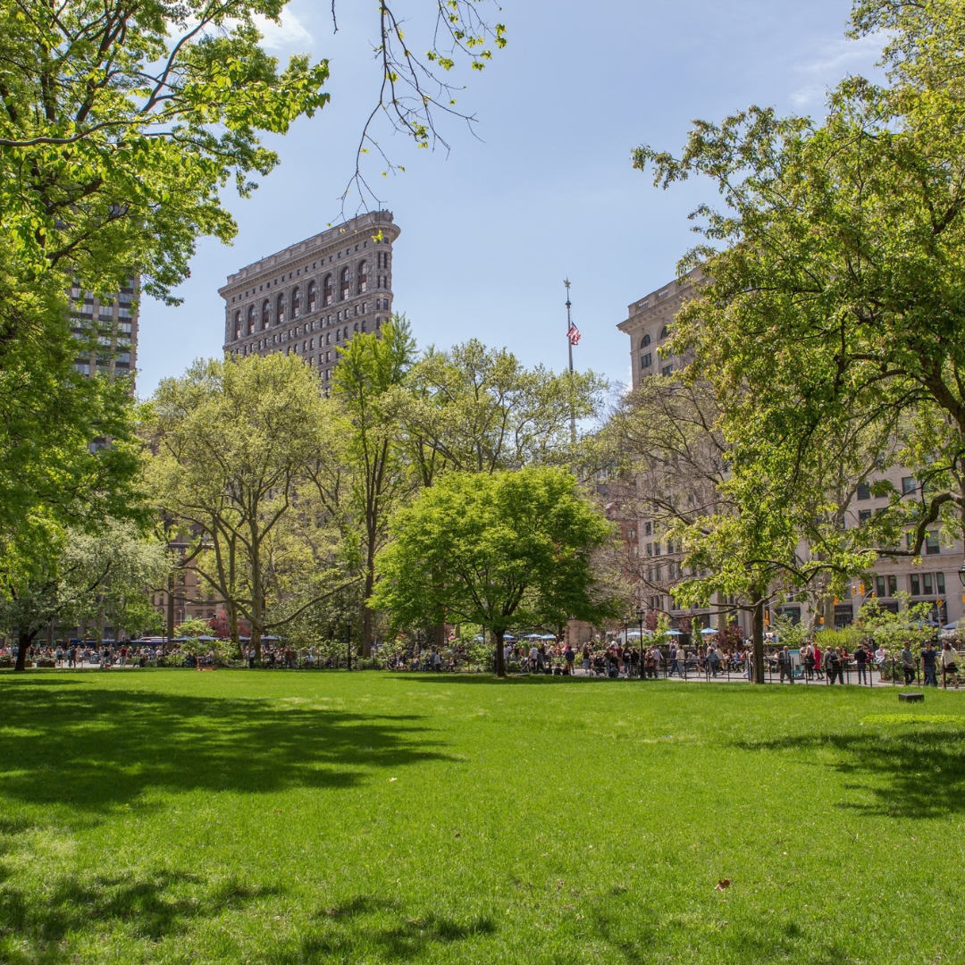 Madison Square Park thumbnail