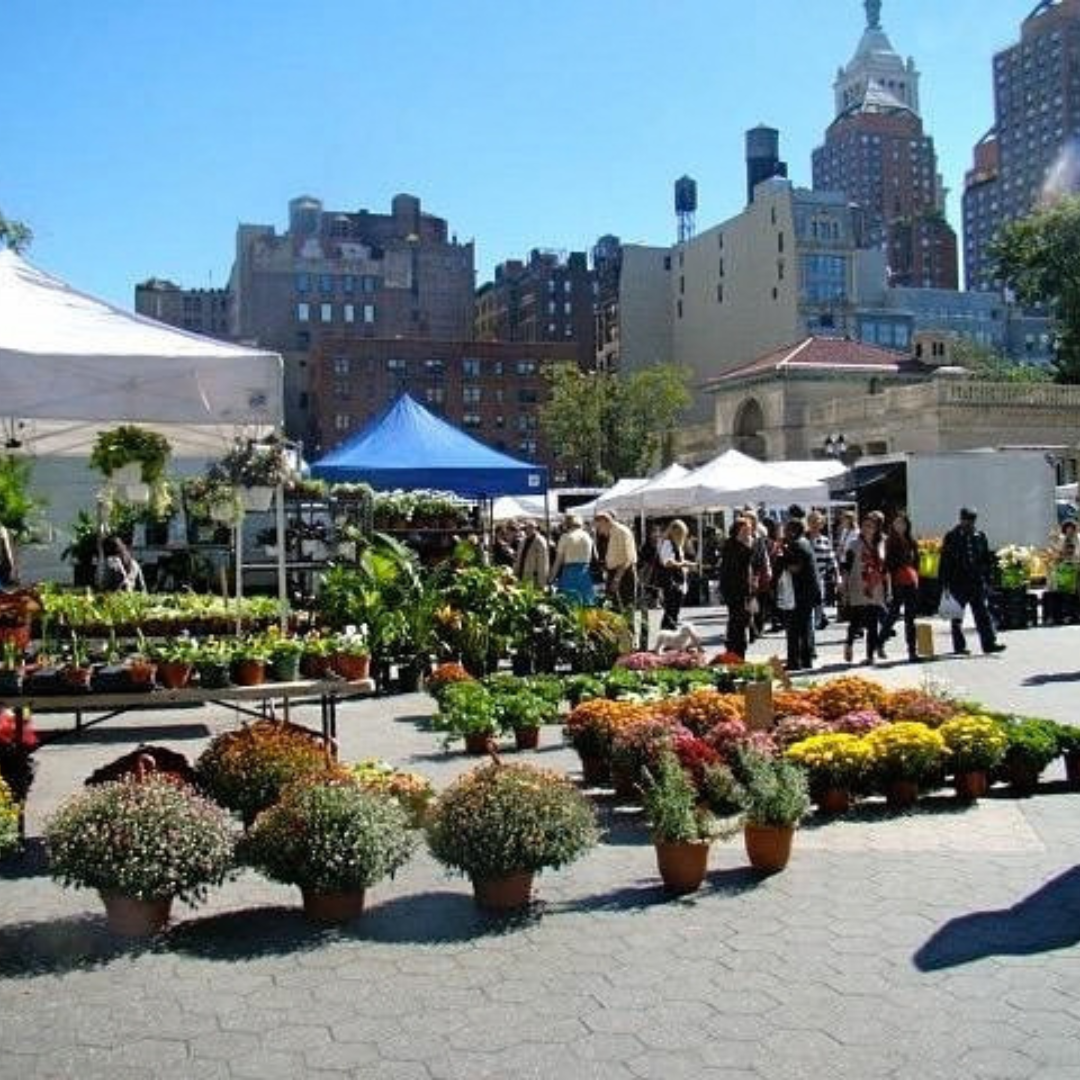 Union Square Greenmarket thumbnail